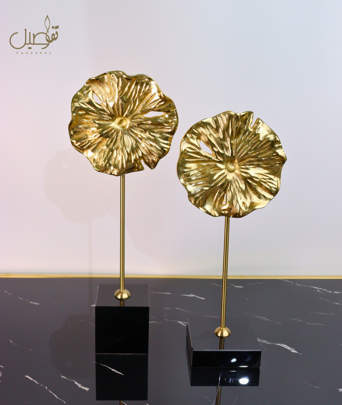 DECOR ELEGANTE ET MODERNE – TAFASSEL
