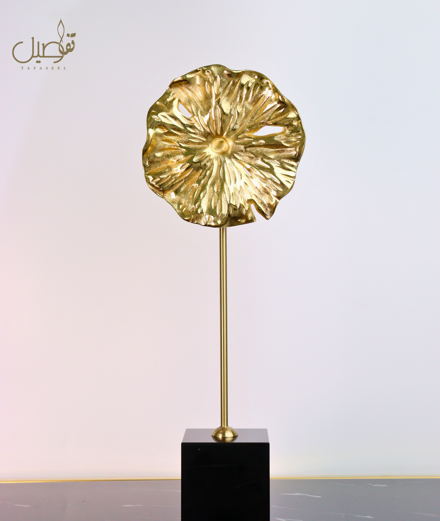 DECOR ELEGANTE ET MODERNE